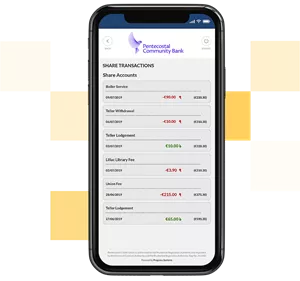 View Account Balances and Transactions